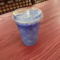   at Life Alive Organic Cafe in Cambridge