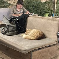   at Carob Restaurant in Amman