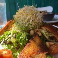 Amazing Blackened Tofu Salad with a miso ginger dressing! at The Cafe in Key West