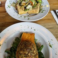 Aren’t they beautiful?  at The Cafe in Key West