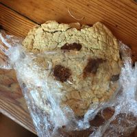 Huge vegan chocolate chip cookie  at The Cafe in Key West