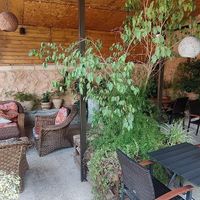  at Carob Hostel in Amman