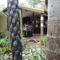 counter at Bamboo Buddha in Holgate