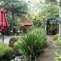 garden at Bamboo Buddha in Holgate