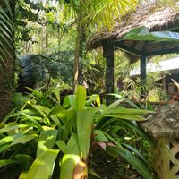 Beautiful surroundings at Bamboo Buddha in Holgate