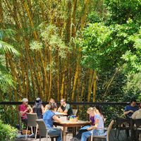  at Bamboo Buddha in Holgate