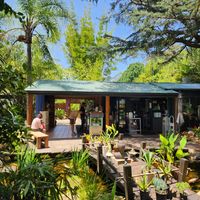  at Bamboo Buddha in Holgate