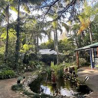  at Bamboo Buddha in Holgate