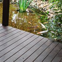  at Bamboo Buddha in Holgate