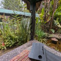 Tranquil at Bamboo Buddha in Holgate