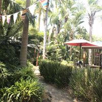 Garden setting at Bamboo Buddha in Holgate