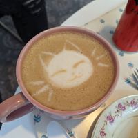  at Purrfect Café  in Gothenburg