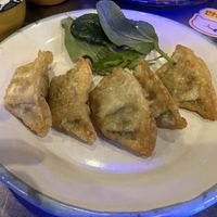 Potstickers  at Kkokki Vegan House in Hamburg