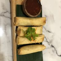 Spring rolls  at Plant Based in 