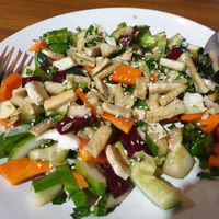 Tofu salad at The Healthy Kitchen in Manali