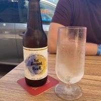 Animal beer ❤️  at Humus Vegan Tenerife in Tenerife