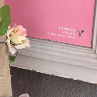 Sorbets = vegan  at Les Délices d'Aurile de Grasse in Grasse