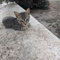  at Happy Friends in Rhodes