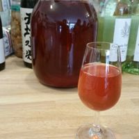 homemade kombucha at Raw8 Cafe in Osaka