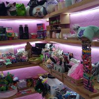  at 31 Gatitos in Mexico City