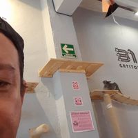 Mas gatitos at 31 Gatitos in Mexico City