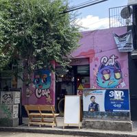 Adorable exteriorr  at 31 Gatitos in Mexico City