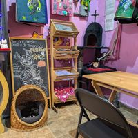  at 31 Gatitos in Mexico City