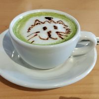 Matcha latte at 31 Gatitos in Mexico City