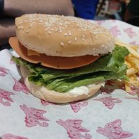  at 31 Gatitos in Mexico City