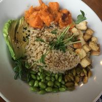 Tofu teriyaki power bowl  at Scargo Cafe in Dennis