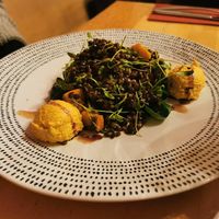  at Körle und Adam in Stuttgart