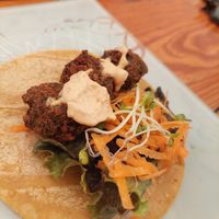 Taco de falafel, su aderezo esta super rico at Casa Onca Centro in Aguascalientes