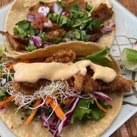   at Casa Onca Centro in Aguascalientes