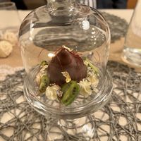 Schokomoussetörtchen mit Haselnusskrokant und Kiwibeeren  at Kunterbunt in Waidhofen An Der Ybbs