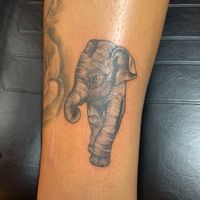 Elephant   at Tee Tattooing in Cheltenham