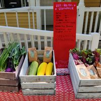 Vegetables for sale at Gula Villan in Norsborg