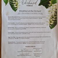 Tofu scramble! at The Orchard Table at Macadamias Australia in Bundaberg