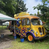 Van  at Coconut Glen's in Haiku