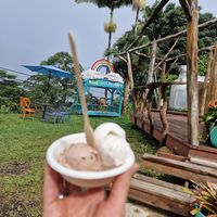  at Coconut Glen's in Haiku