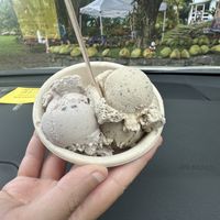 Mint chip (left) and coffee toffee (right)  at Coconut Glen's in Haiku