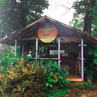 coconut glens shack on the road to hana at Coconut Glen's in Haiku