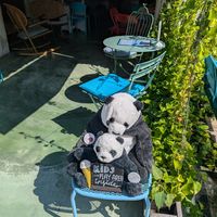  at Kneading Peace in Malacca