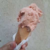 Plum sorbet at Baboo Gelato in Swanage