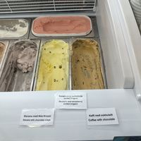 Vegan optionsv at Skútaís - Farm Ice Cream in Skutustadjahreppur