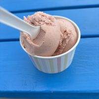 Strawberry rhubarb sorbett  at Skútaís - Farm Ice Cream in Skutustadjahreppur