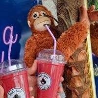  at Bowlhouse in Bad Voslau