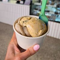 Pistachio made from an almond base and vanilla made from a coconut base at Cotee River Creamery in New Port Richey