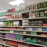 Gluten free and vegan pasta at Chamberlin's Natural Foods Market in Kissimmee