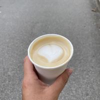   at Monocycle Specialty Coffee in Zagreb