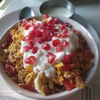 homemade Fruit musli at Himalayan Organics Juice Bar and Cafe in Manali